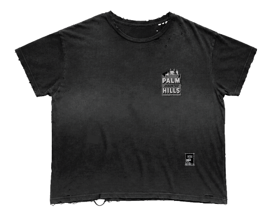 palm hills betty boop tee