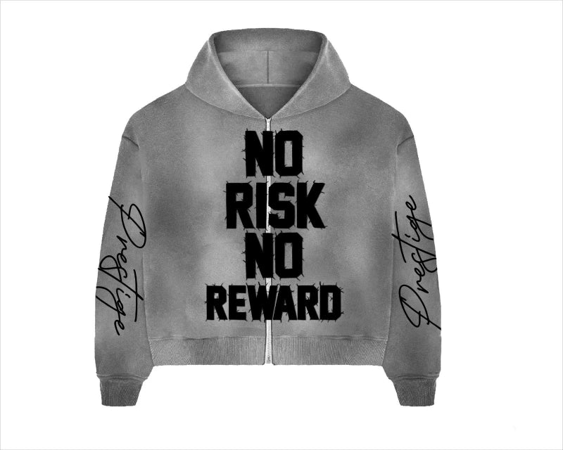 no risk no reward hoodie gray